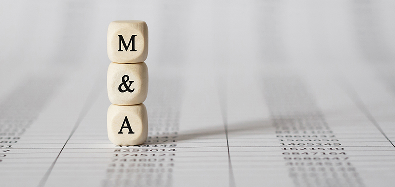 February M&A Roundup: Slower Start to 2025 After Robust 2024