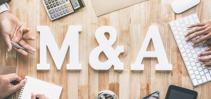 January M&A Roundup: Dealmaking Falls Short of 2024’s Start