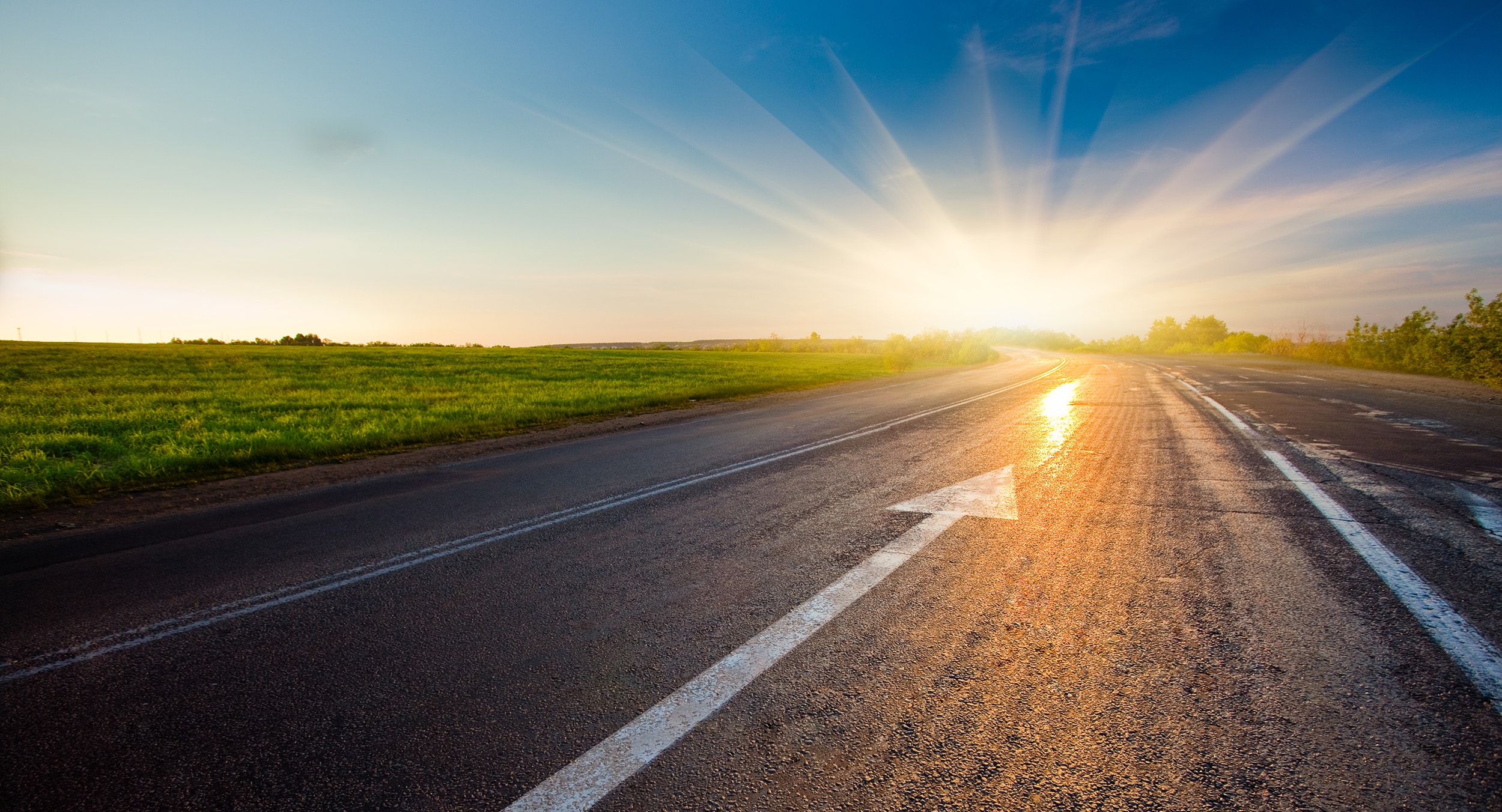 Digital-First, Data-Driven, Culture-Led: The Future Distributor