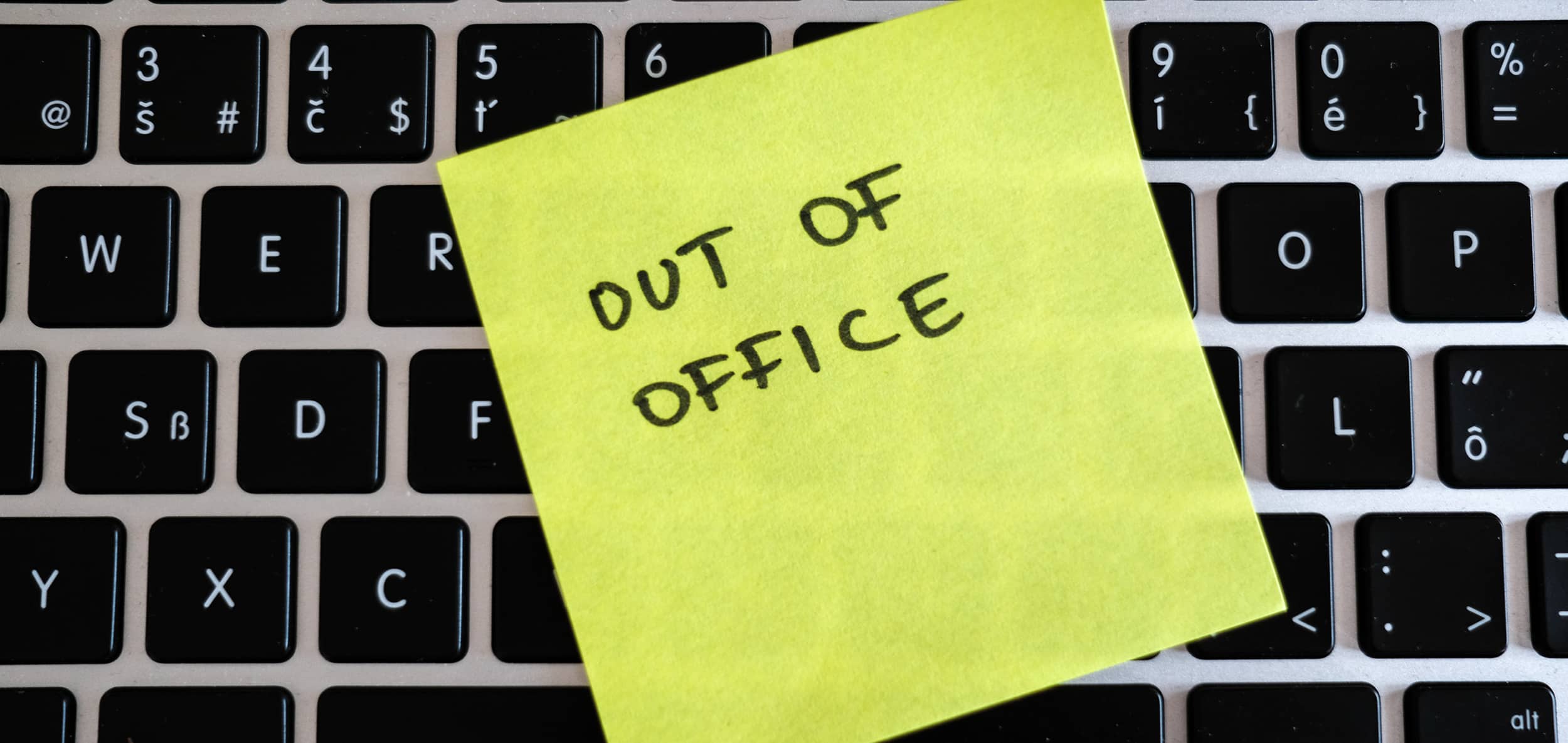 No MDM Update Newsletter Monday