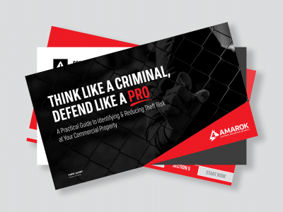 Think Like a Criminal. Defend Like a Pro.
